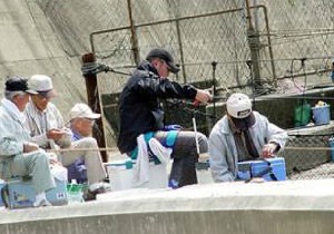 釣り堀1