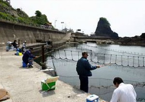 釣り堀2